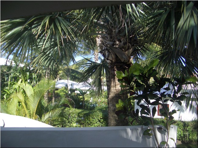 Cabarete_2005 001.JPG