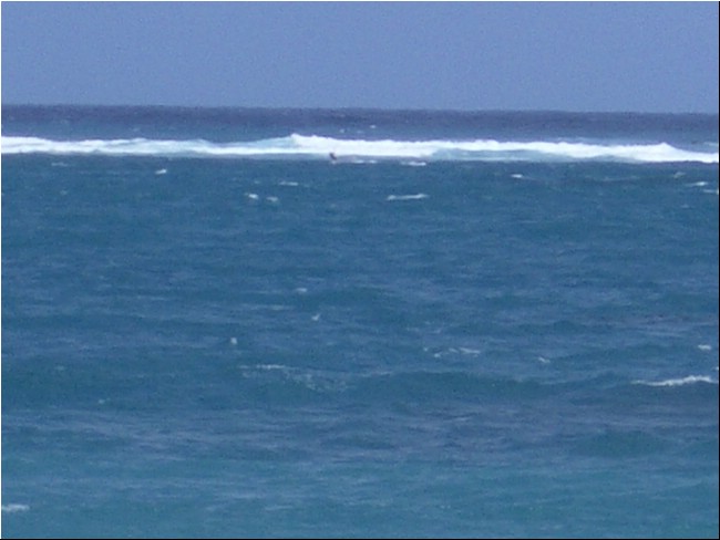 Cabarete_2005 011.JPG