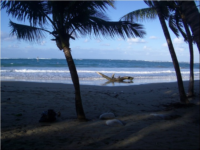 Cabarete_2005 016.JPG