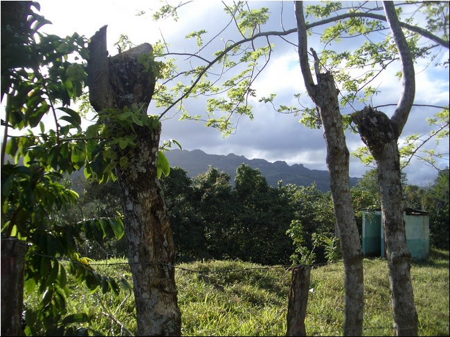 Cabarete_2005 039.JPG