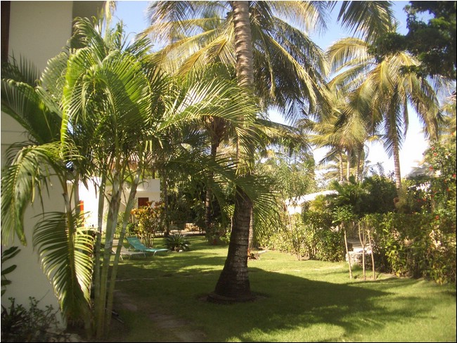 Cabarete_2005 062.JPG