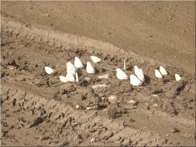 August-September_2004 036.JPG