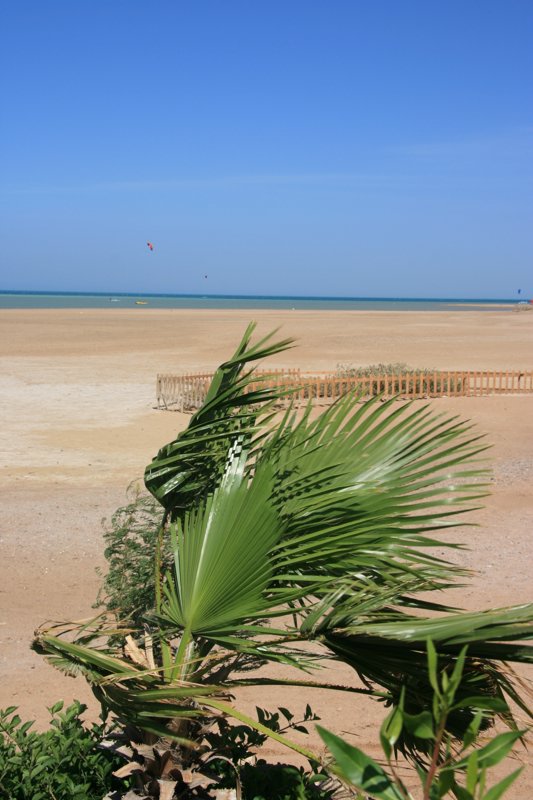 Egypt_June_07 085.jpg