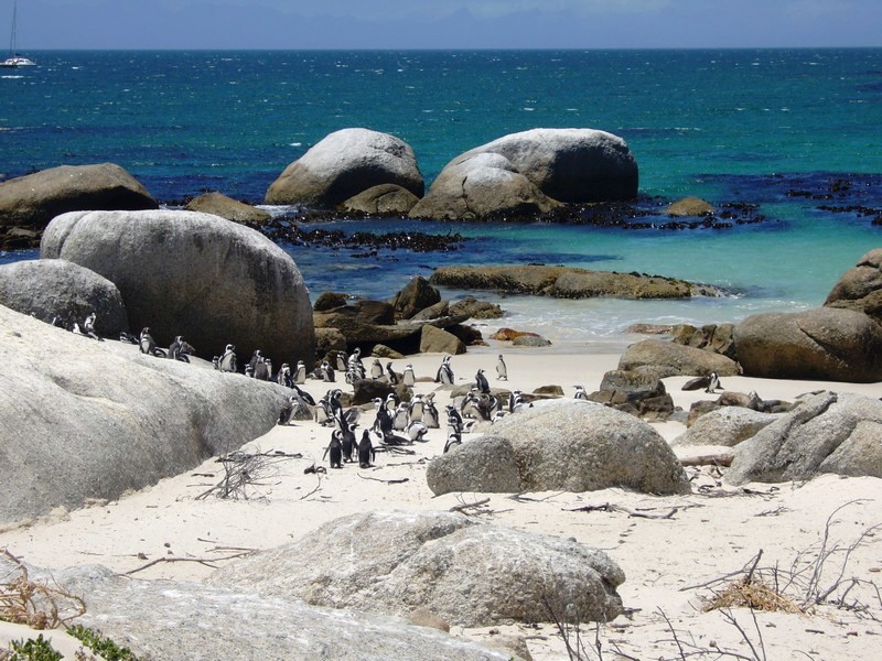 Pedross South Africa 2007 120.JPG