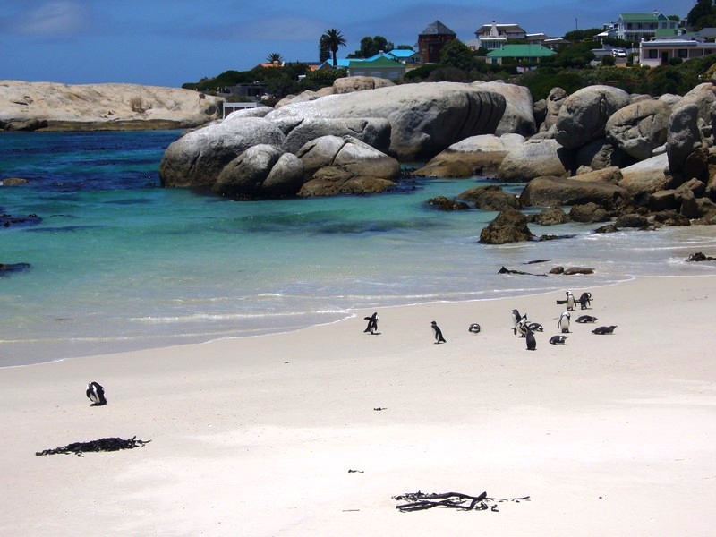 Pedross South Africa 2007 125.JPG