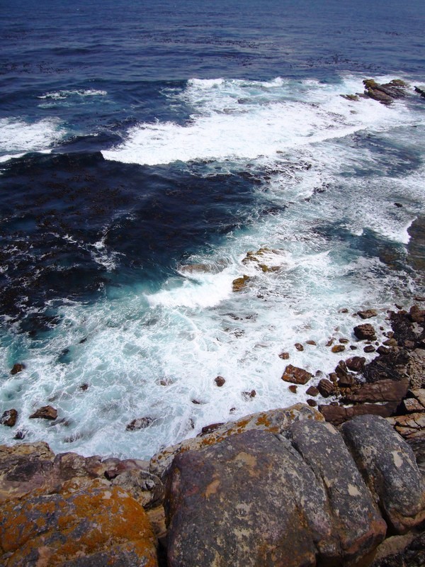 Pedross South Africa 2007 134.JPG